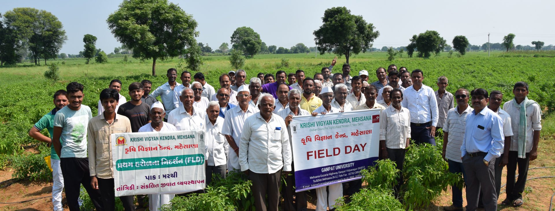 We provide Training to Farmers