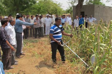 On Farm Trial-OFT